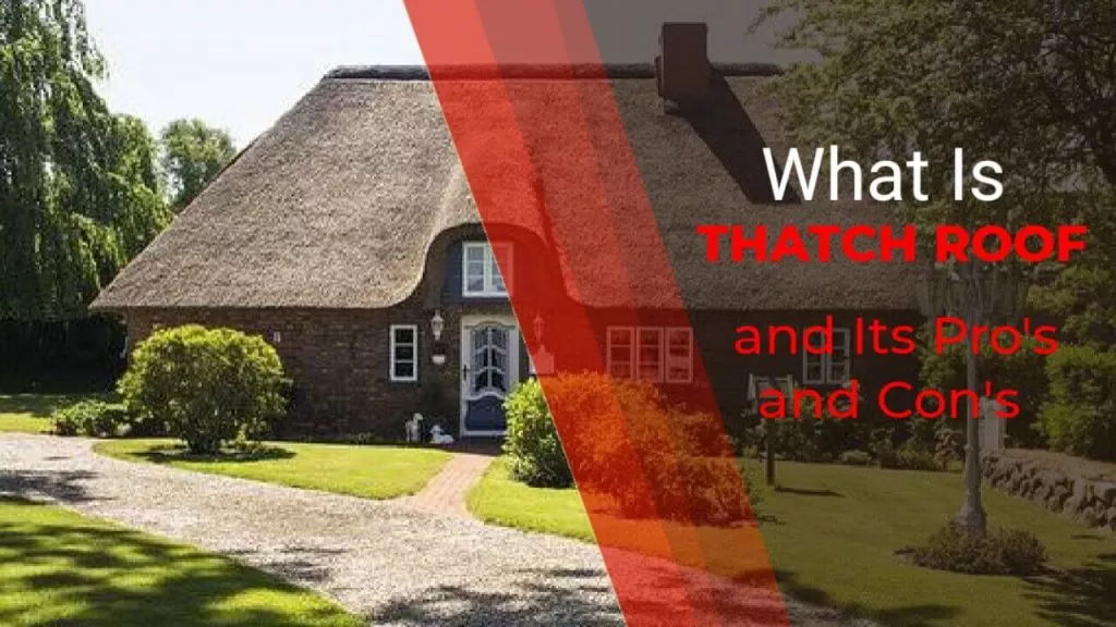 What is Thatch Roof and Its Advantages & Disadvantages 2021